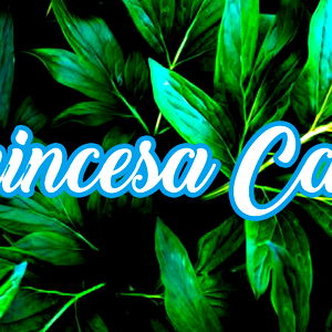 โกSuper Soaker Cairoโก photo