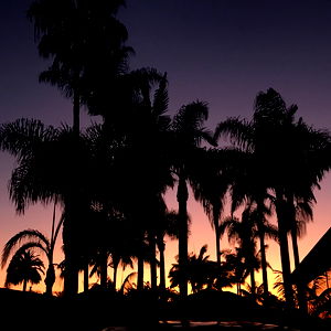 zoey baby โก photo