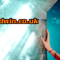 Rebecca Goodwin photo