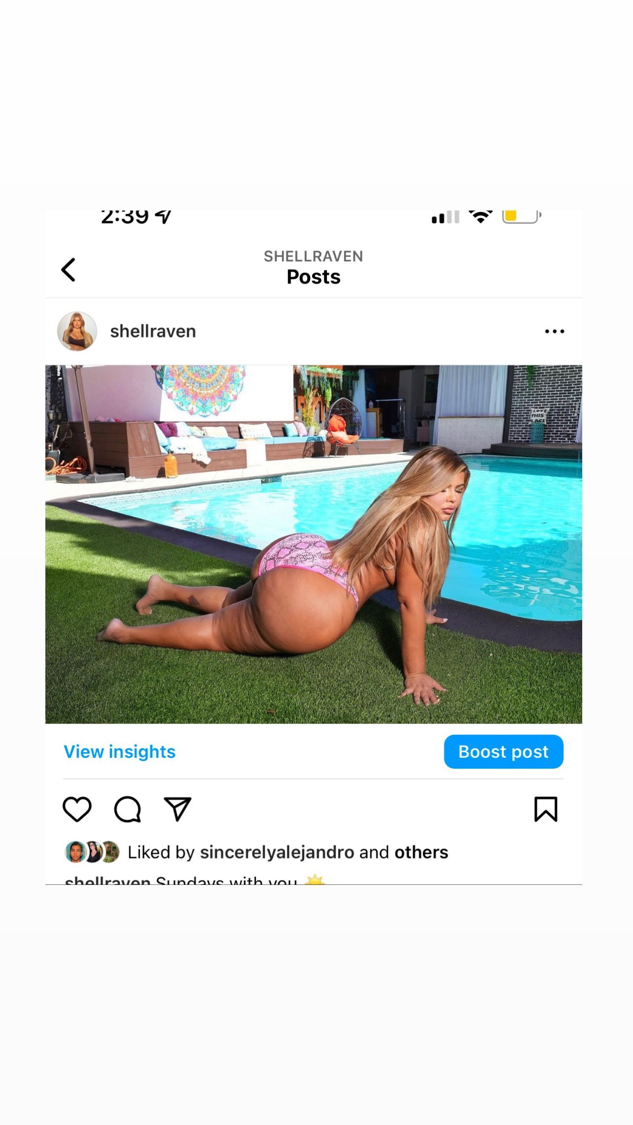 SHELL RAVEN ❤️‍🔥 photo