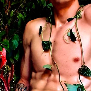 ǟʀȶɛʍɨʂ photo