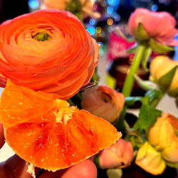 🦋 𝗦𝗘𝗫𝗧𝗜𝗡𝗚 𝗕𝗕𝗪 𝗕𝗜𝗠𝗕𝗢🦋 photo