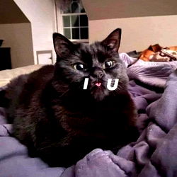 Spencer Macalino photo