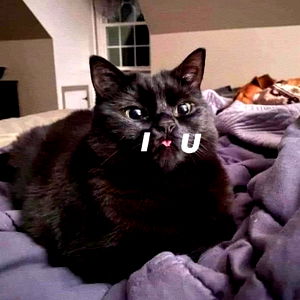 Spencer Macalino photo