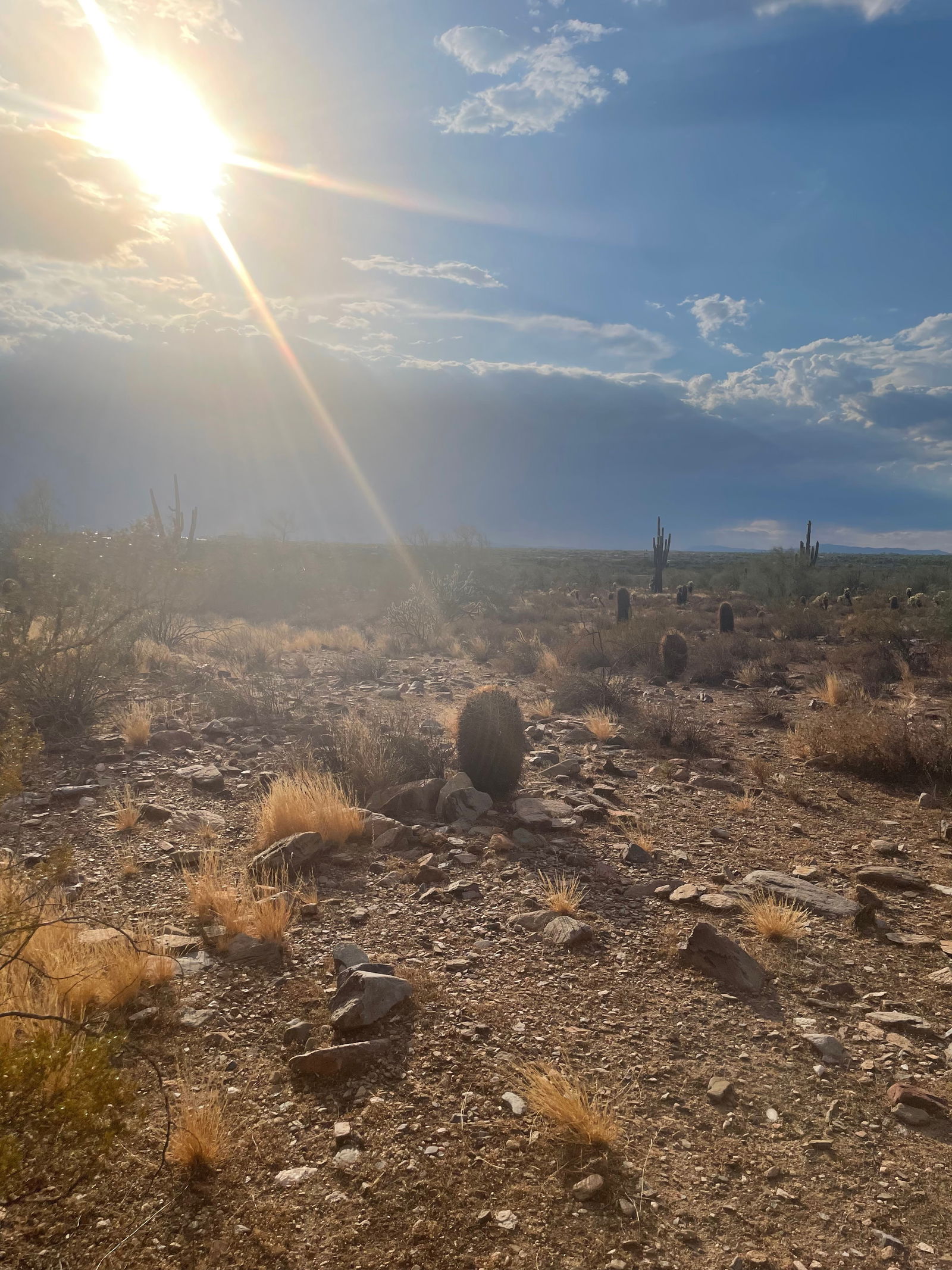 Zoie {Sex, Masturbation} photo