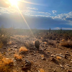 Zoie {Sex, Masturbation} photo