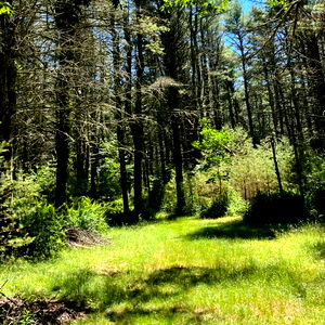 Hannah ๐ณ Fetish Goddess photo