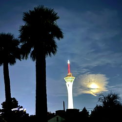 Jezabel Vessir photo