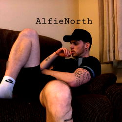 Alfienorth photo
