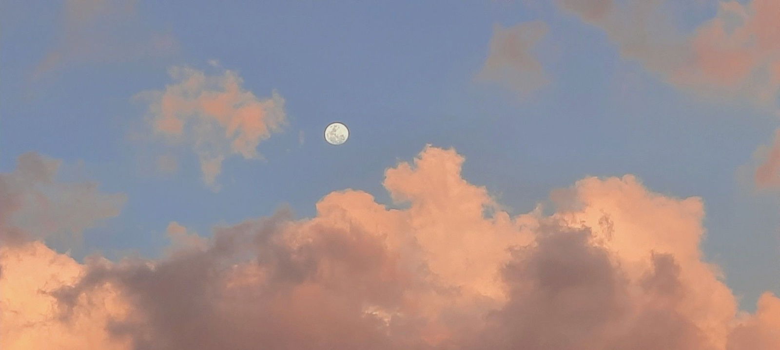 Jasmine | Natural 😇 photo