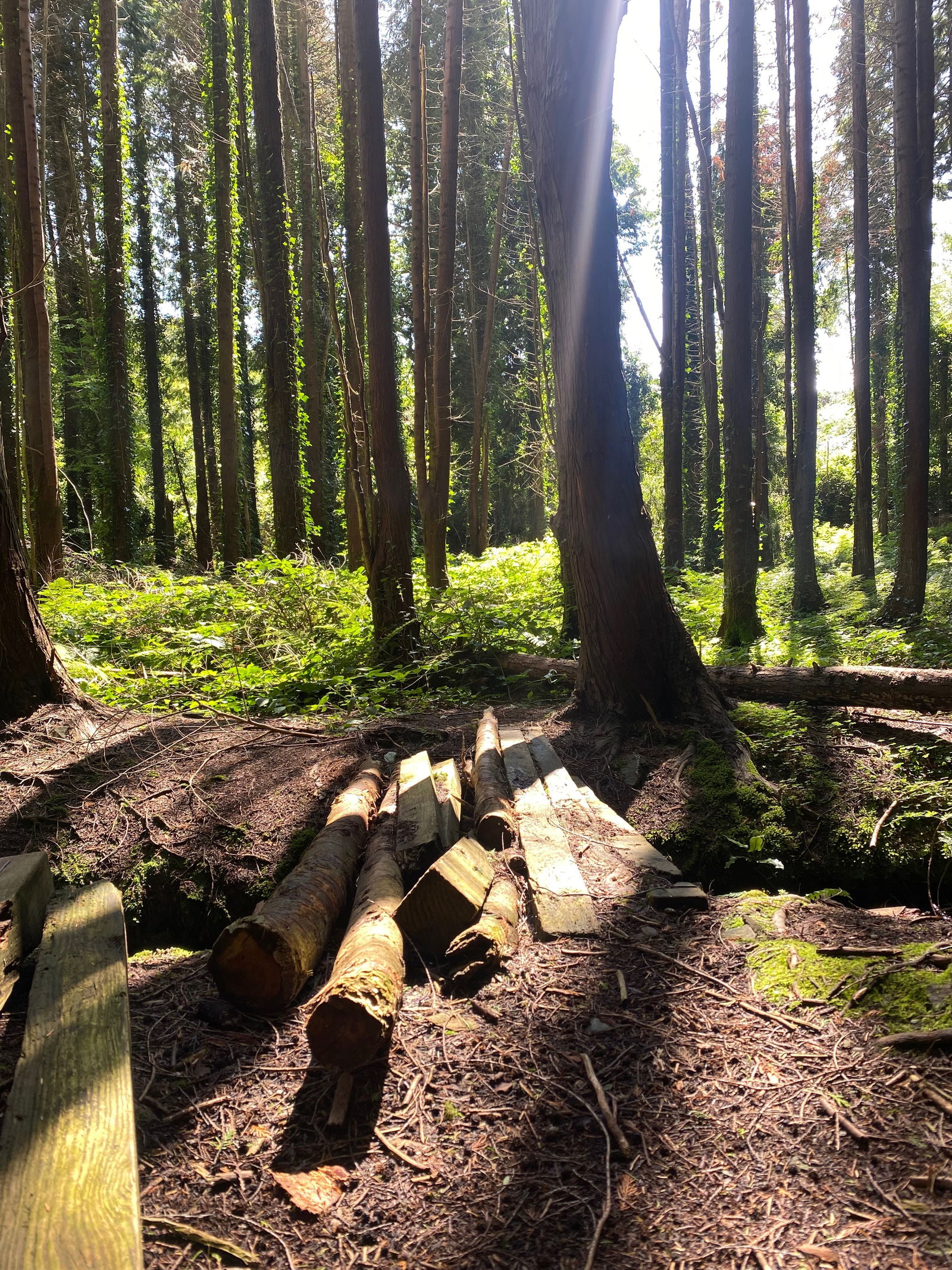 conor davis 🍀🔞 photo