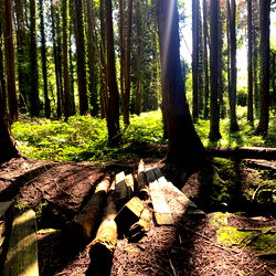 conor davis 🍀🔞 photo