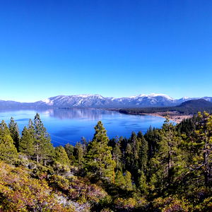 ZEUS RAY FREE ๐๐ photo