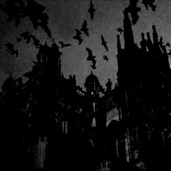 Ugly Pervert 🔪 VIP photo