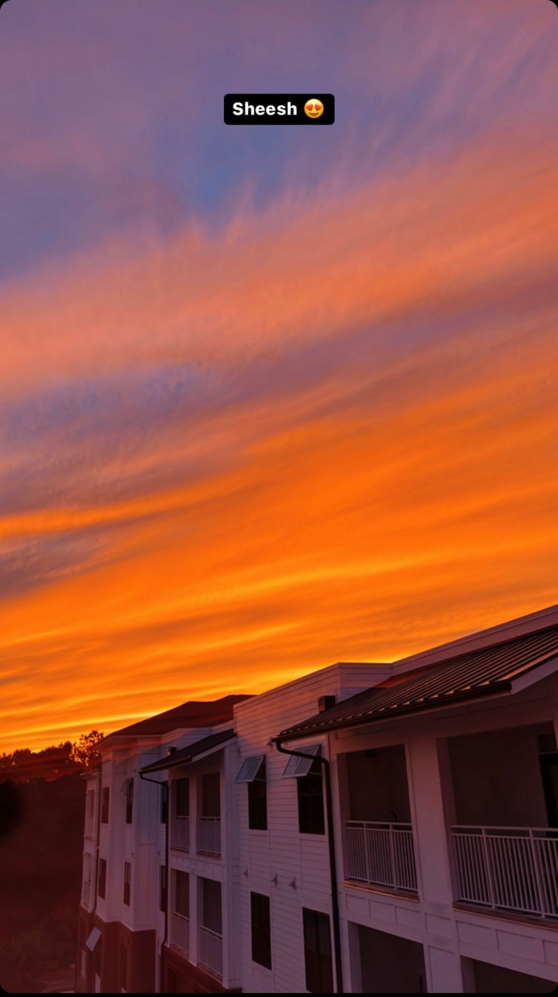 BiCurious Friend photo