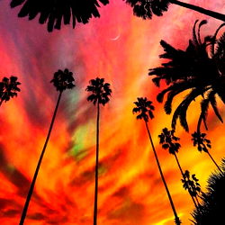 Ms. Bush ♡♥ FREE PAGE ♡♥ photo