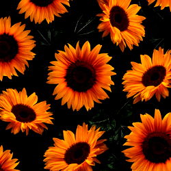 Kaitlyn Murdock photo