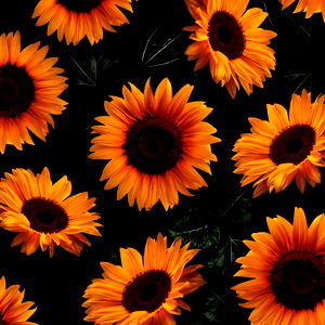 Kaitlyn Murdock photo