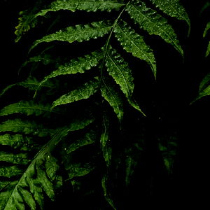 Marina Dove๐ photo