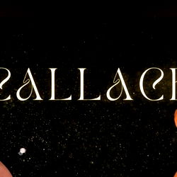 Mrs. Callace 🍒 photo