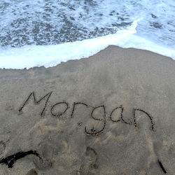 Morgan photo