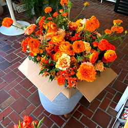 Blushing Blooms photo