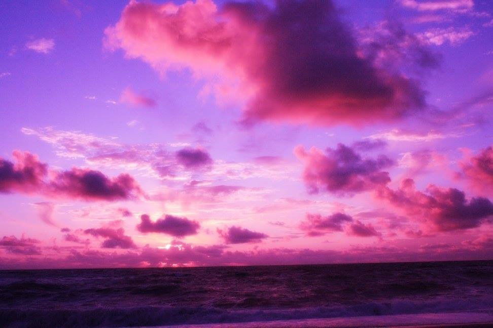 💕 id0lls Lei / Luna D.Light 💕 FREE 🌸 photo