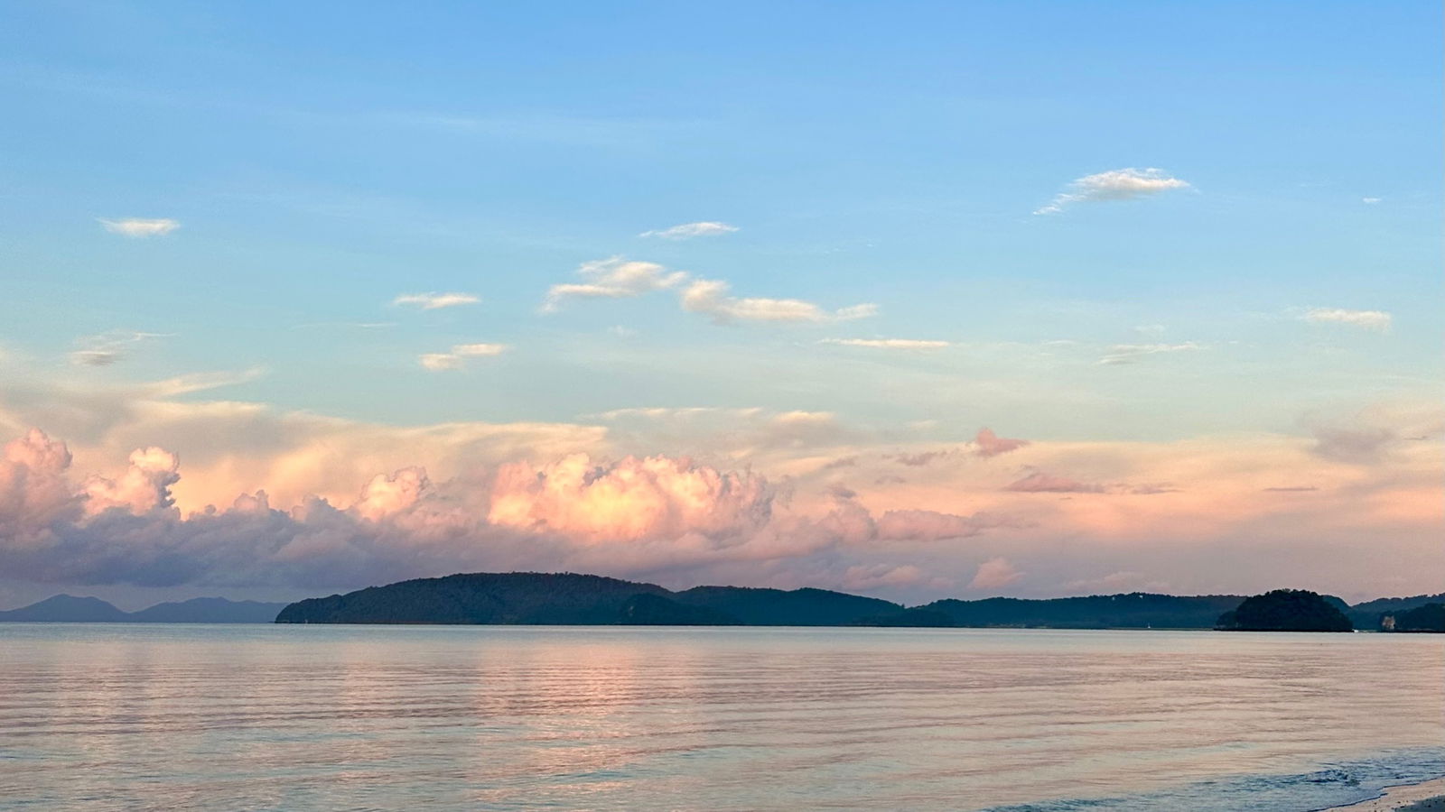 Lily ❤️‍🔥 photo