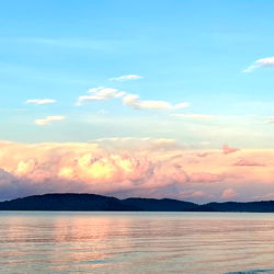 Lily ❤️‍🔥 photo