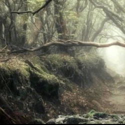 ✨ aozora ✨ photo