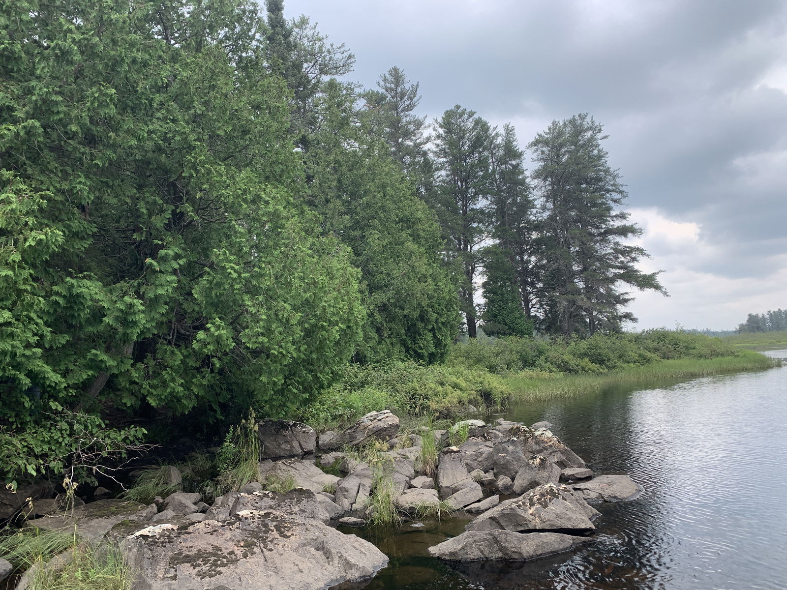 Matt North (Free) photo