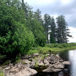 Matt North (Free) photo