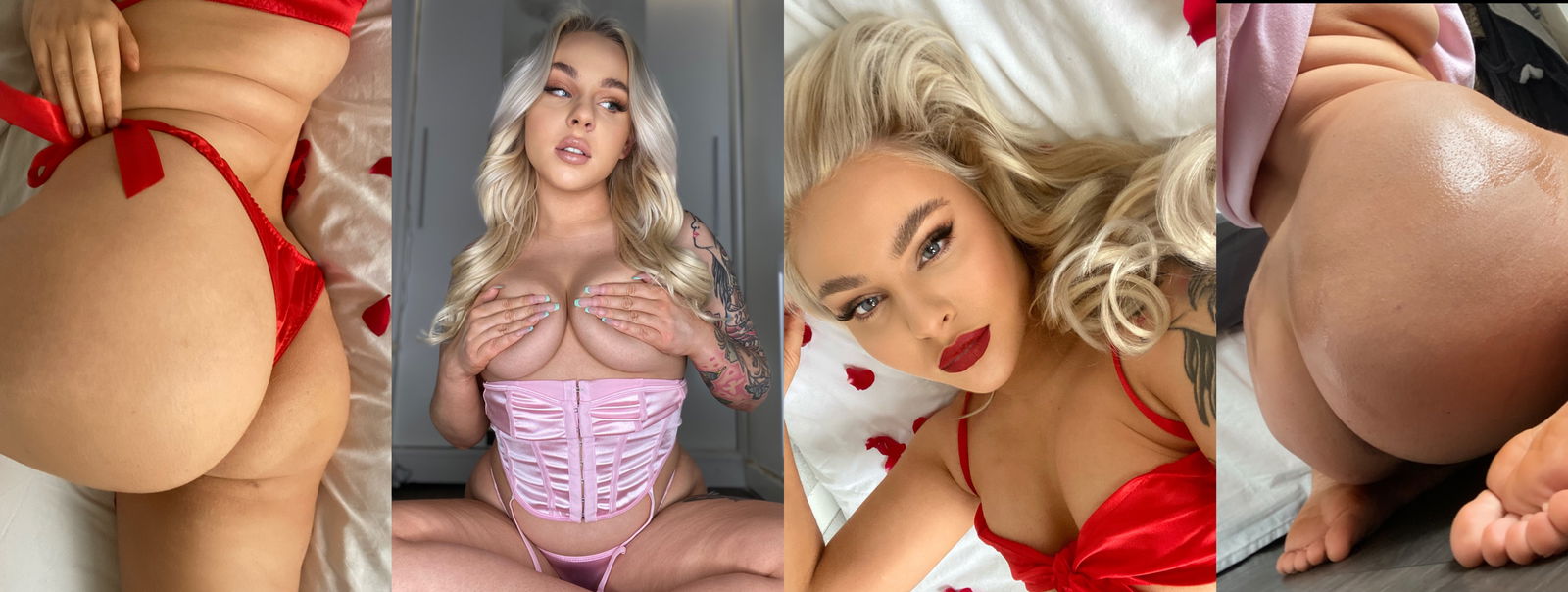 Rose winter 🌹 photo