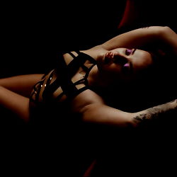 🇳🇴✨SPICY DRAGON✨ VIP photo