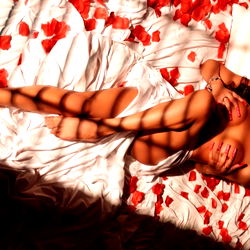 Supreme 🏳️‍⚧️🌈 fantasy photo