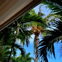 ๐ข๐ฎ๐ข๐ฏ๐ฅ๐ข ๐ฎ๐ข๐จ๐จ๐ช๐ฆ photo