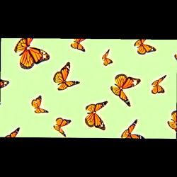 ♡ 𝓉𝒾𝒻𝒻𝒶𝓃𝓎 𝒽𝒾𝓁𝓁𝓈 ♡ photo