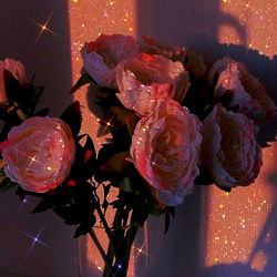 ♡ 𝓉𝒾𝒻𝒻𝒶𝓃𝓎 𝒽𝒾𝓁𝓁𝓈 ♡ photo