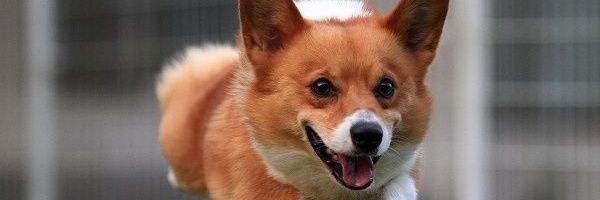 Summer Horror Party photo