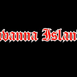 Savanna Island photo