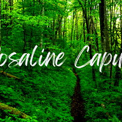 Rosaline Capulet photo