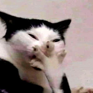 J.U.N.I.O.R (D) photo