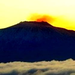 ๐
Siciliano๐ porco๐
photo