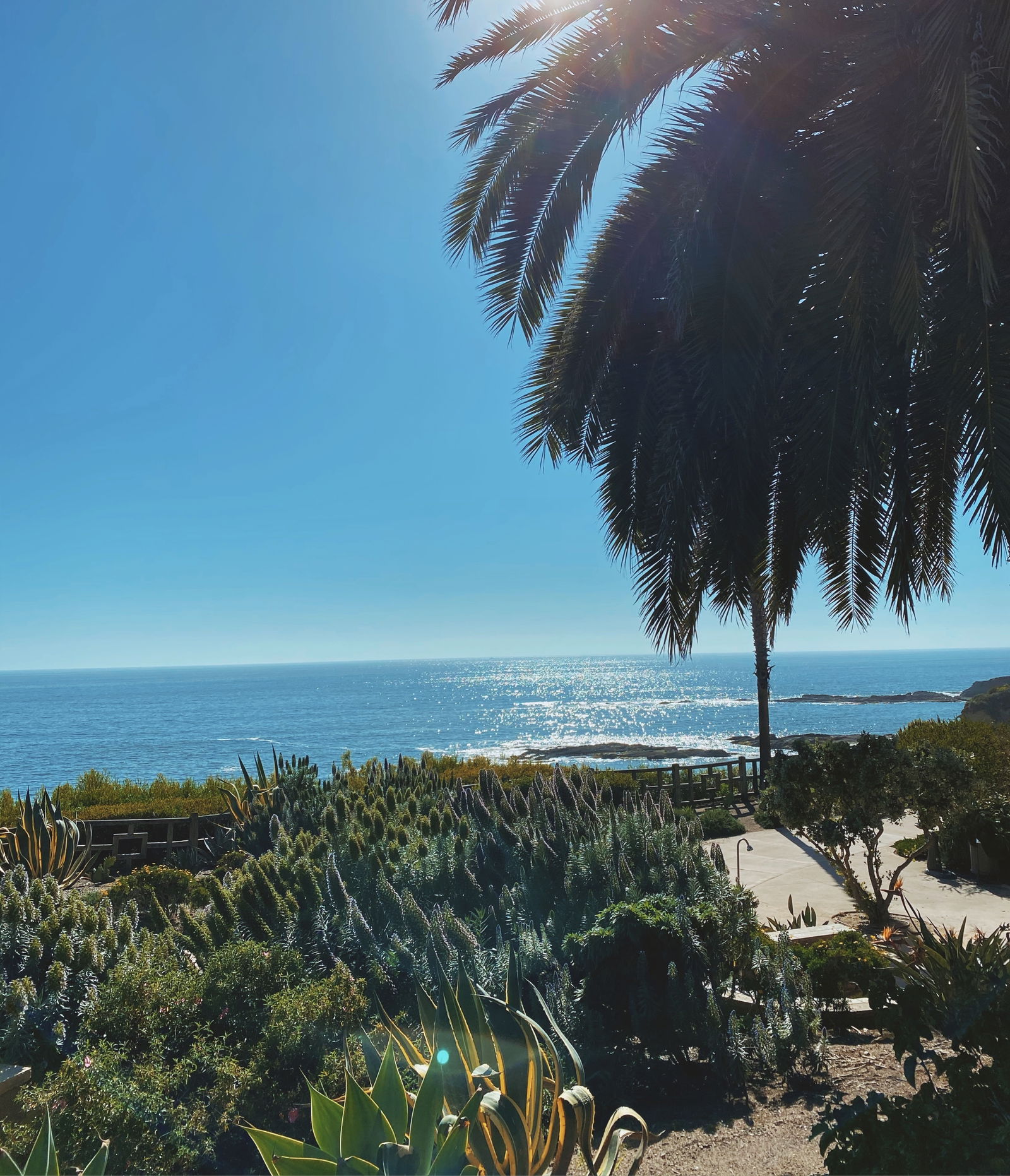 princess lil 💗 photo