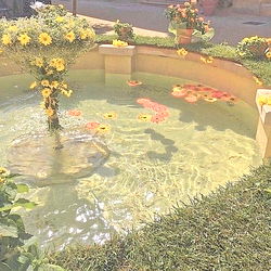 jai⋆｡°✩ photo