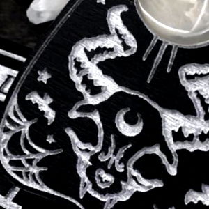 Lily Jones - Top Creator photo