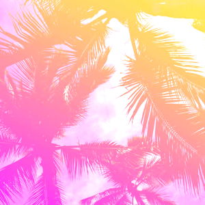 californiachick photo