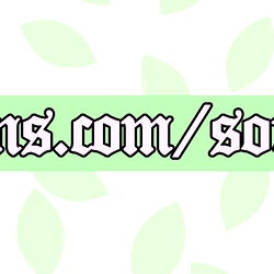 SoraBuni ୨ৎ photo