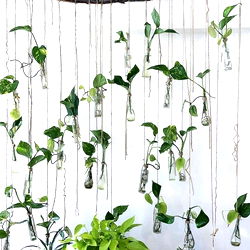 Quinn Reaper โ photo