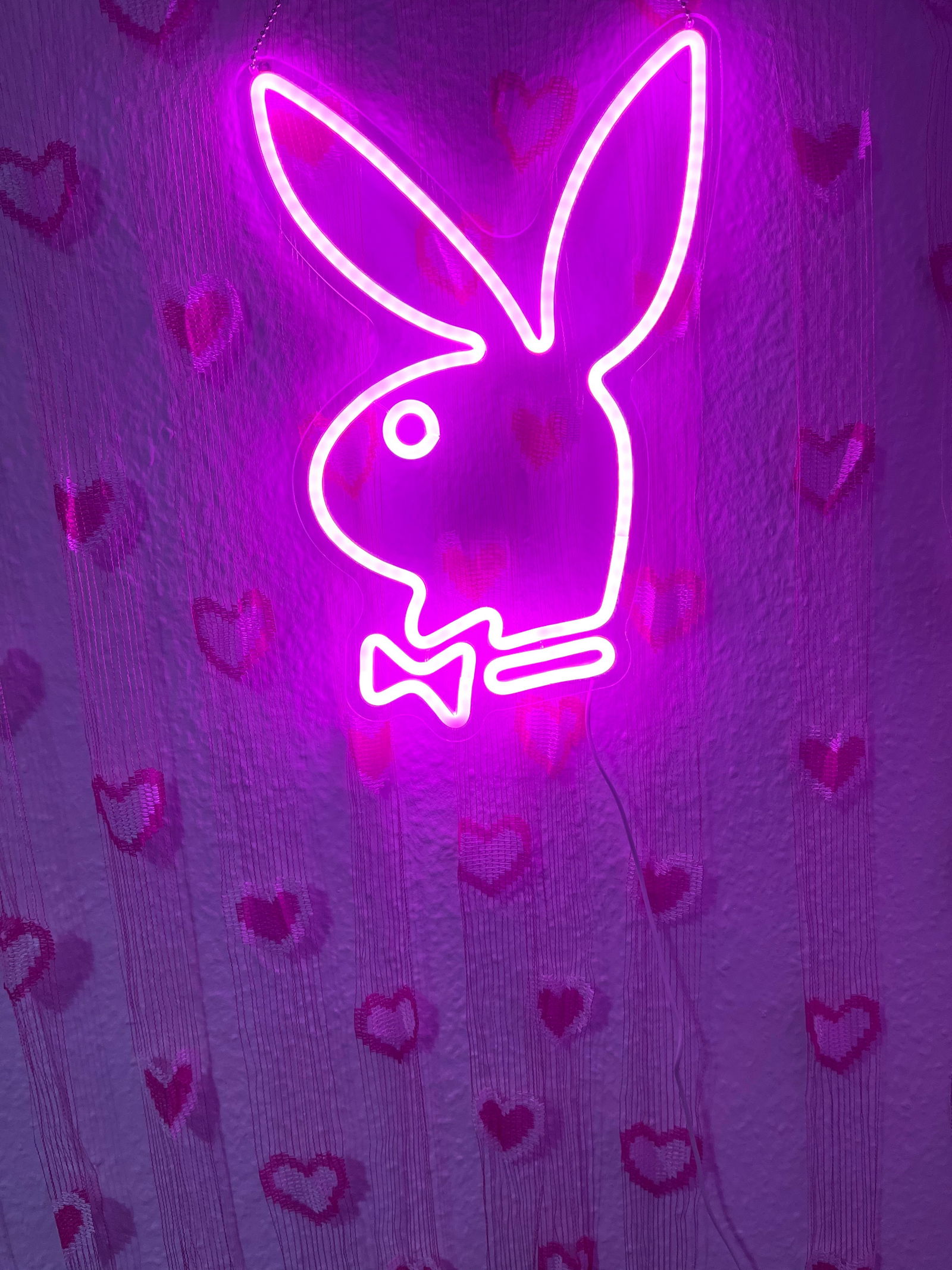 Lara Büttner 🐱😈 photo